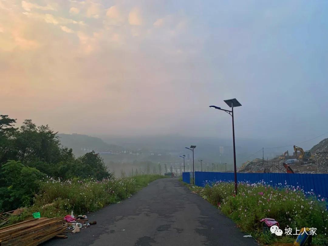 一只宠物猫在外面可以活多久,单独养一只猫它会孤独吗