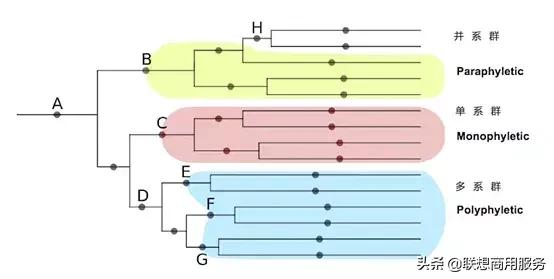 商用pc与个人pc,PC产品消费和商用的区别