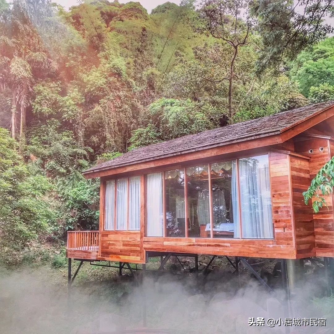 从化旅游景点大全樱花,从化樱花旅游景点