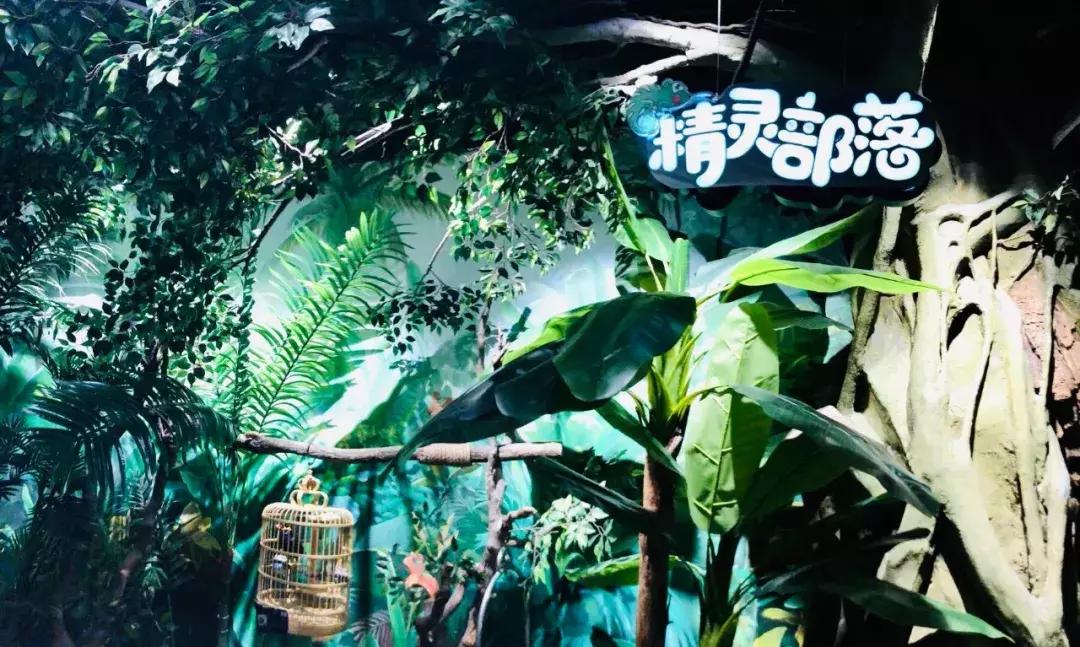 郑州奥林匹克公园萌宠乐园,郑州萌宠乐园长什么样子