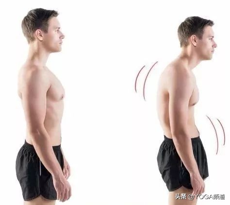 练瑜伽怎么改善一弯腰就拱背,瑜伽如何纠正骨盆旋转和侧移