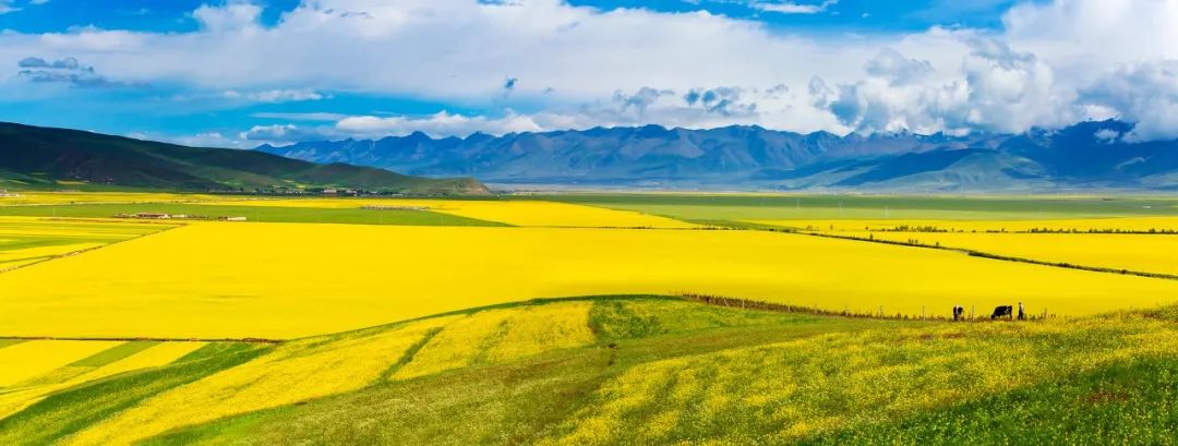 青海旅游攻略景点必去,一生一定要去一次青海吗