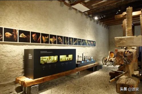 瑞士人竟然这么爱喝，拥有是世界遗产的葡萄园，作业还在靠手工