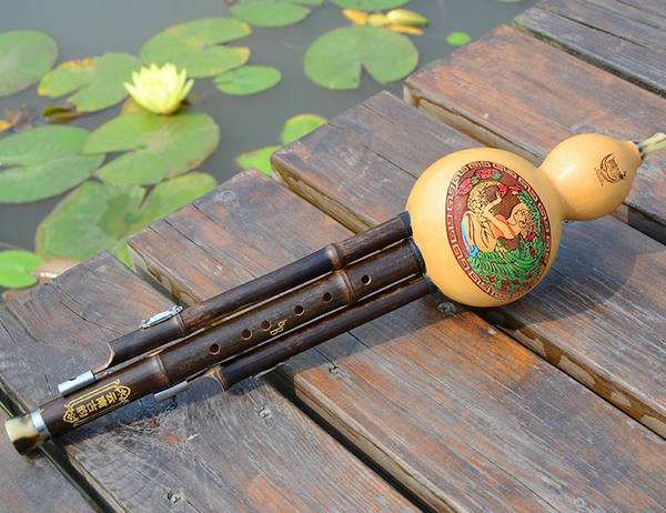 腹有诗书气自华古筝,最容易学习的五种乐器