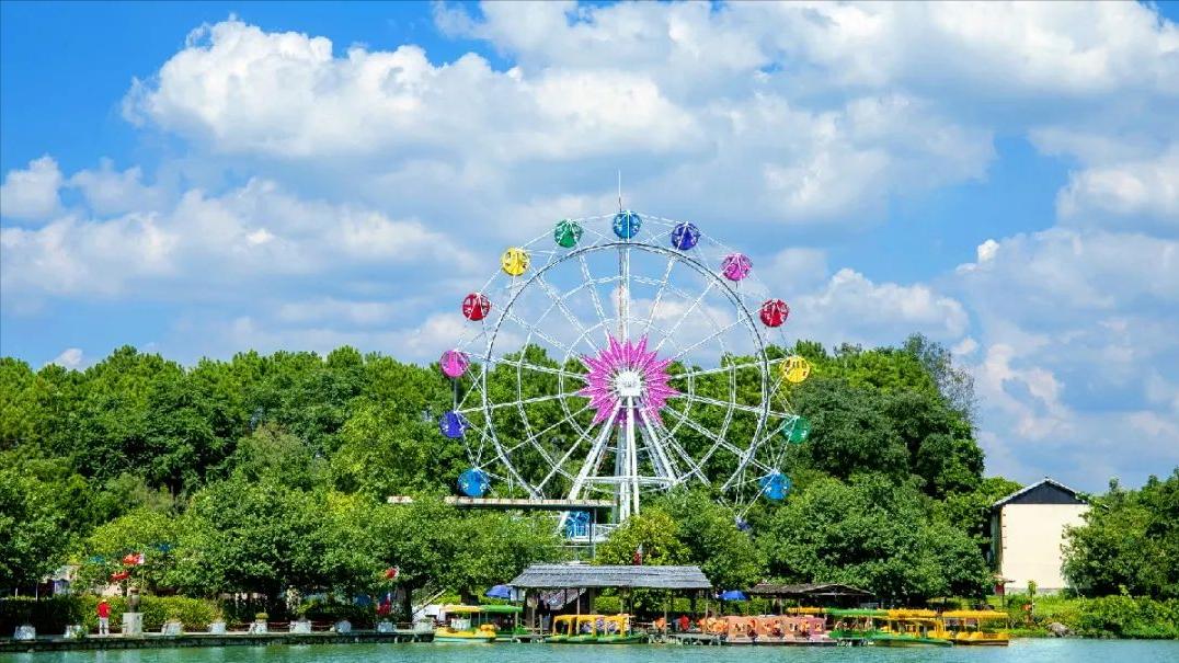 广东好玩的森林露营基地,清远旅游景点森波拉推荐