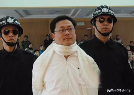 亿万富翁雇凶杀人袁宝璟,袁宝璟杀人案完整版