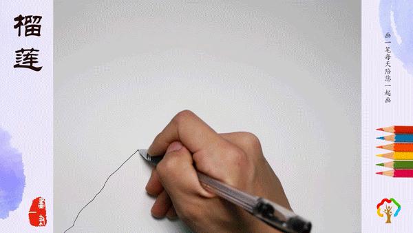 彩铅画水果桃,彩铅画画芒果