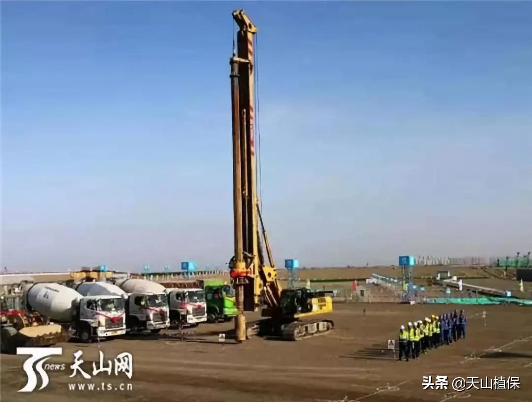 上榜啦！*疆新**鸟市和石市即将被国家命名！未来发展不可估量