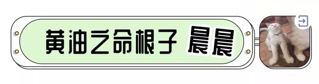 编辑部大公开|女生的一张脸平均要花掉两百万？