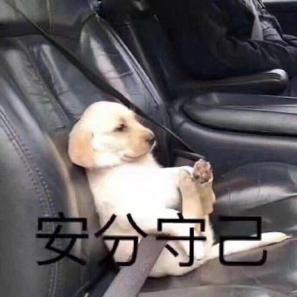 长斑了要怎么调理呢,长斑了该怎么办该用什么护肤品