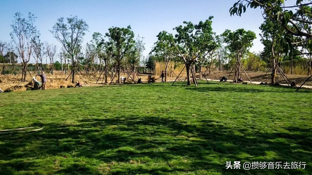 彭山竹韵廊公园,彭山竹韵廊在什么地方