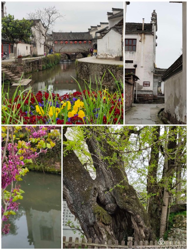 方虹将乐,方虹灯饰店