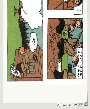 丁丁和丁丁历险记论文,丁丁历险记丁丁的服装