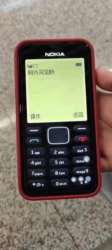 隆鼻张柏芝鼻型,浪姐张柏芝新消息