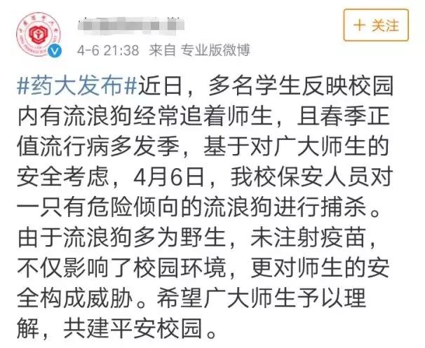 大学宿舍养狗什么处分最严重,大学生在宿舍养猪被通报批评