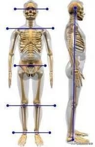 适合久坐人士的7个背部拉伸动作,适合久坐低头的拉伸动作