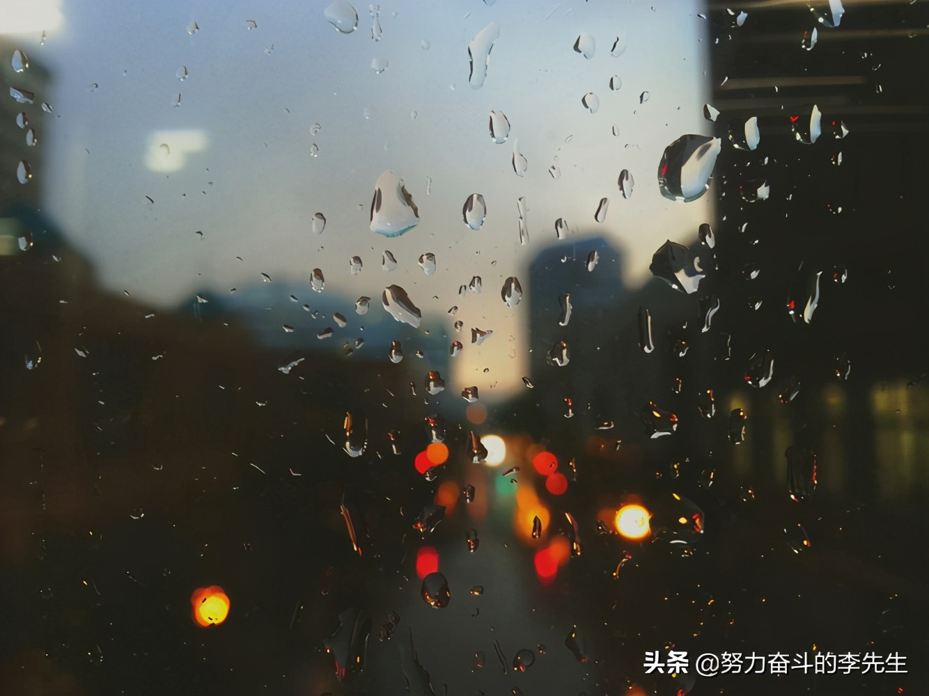 一花一世界一木一浮生朗读,一花一世界一木一浮生书法