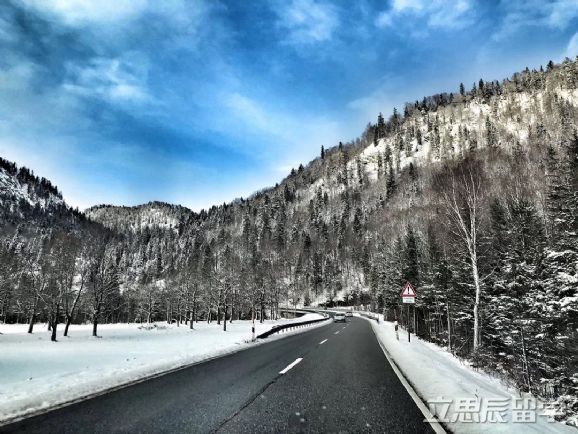 德国埃尔朗根-纽伦堡大学是一所怎样的大学?