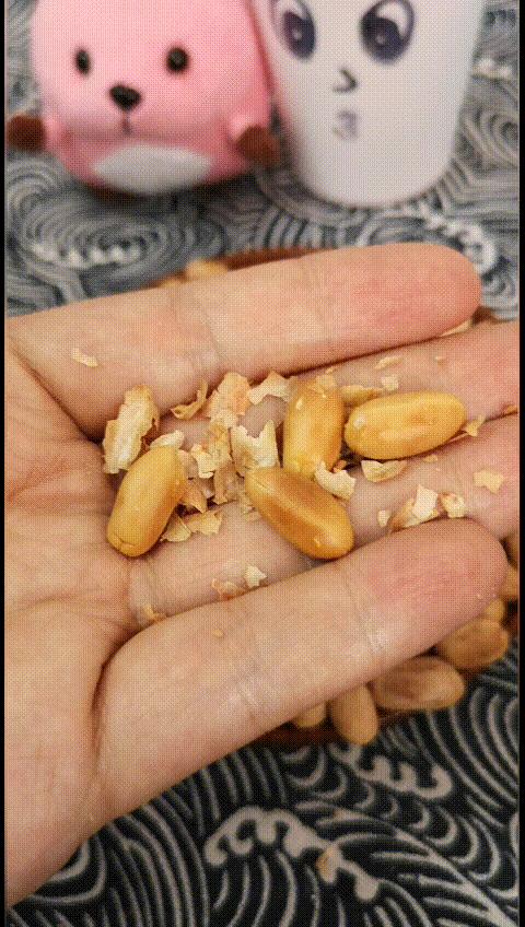 老味果仁做法,高级果仁咋做好吃