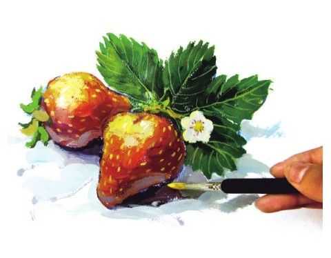 草莓怎么画最难的画法,教你画草莓国画