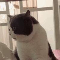 深圳电箱起火视频,深圳小区着火消防车