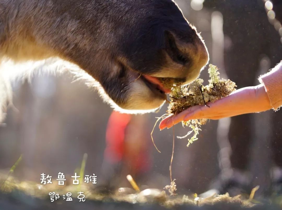 8个适合一个人去旅行的旅游圣地,一个人去的人少景美的小众旅行地