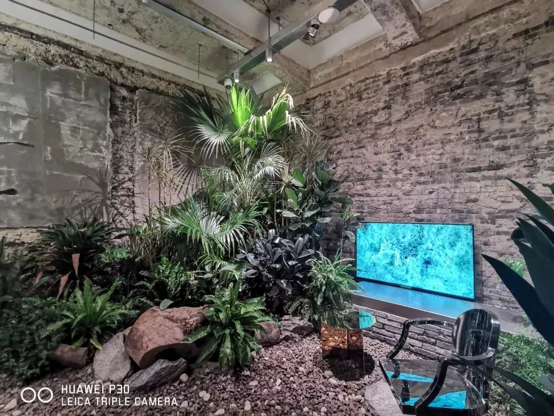 上海魔都最火网红,魔都网红打卡地