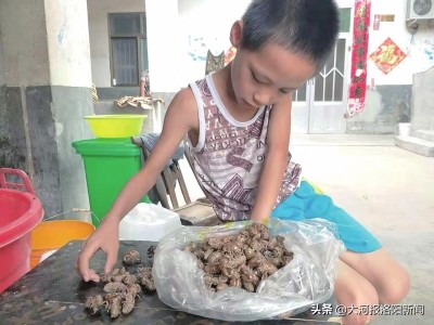 15岁少年给姐姐捐肾,河南20岁女孩肾衰竭