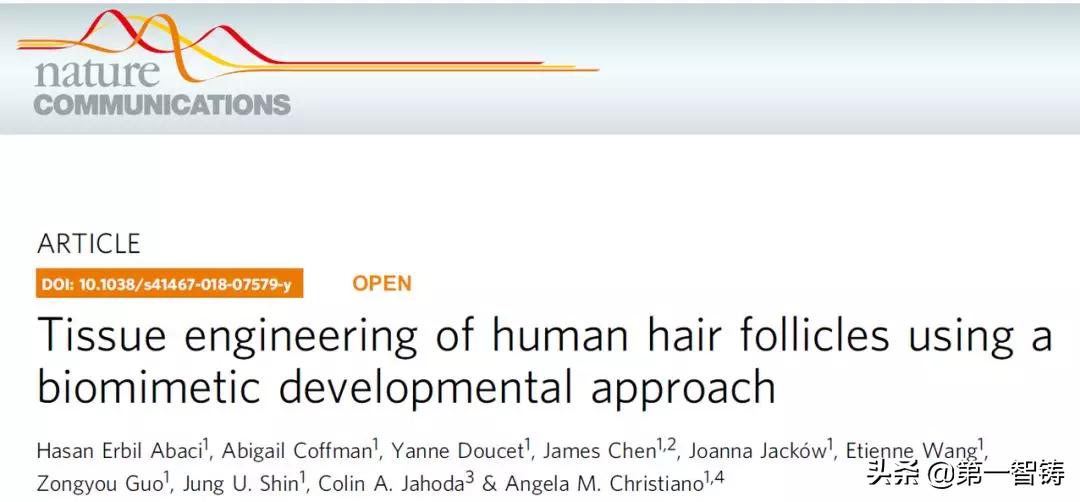 3d打印毛囊成功视频,3d打印治疗脱发