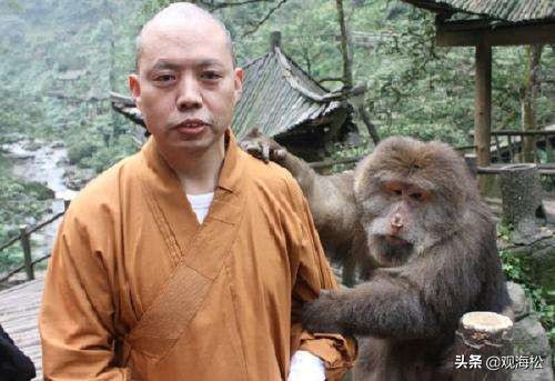 从容游走尘世间的“高僧”：入世度人，书画朴实无华，也引来争议