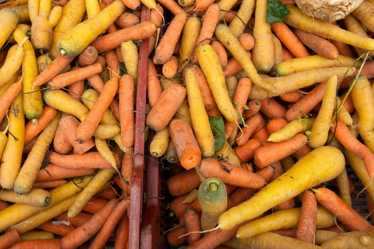 索尼A7CII全画幅微单,索尼微单a7c深度评测