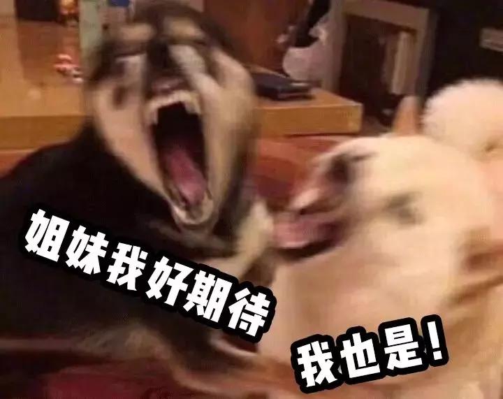 日系化妆教程石原里美,日本化妆师给徐老师化成石原里美