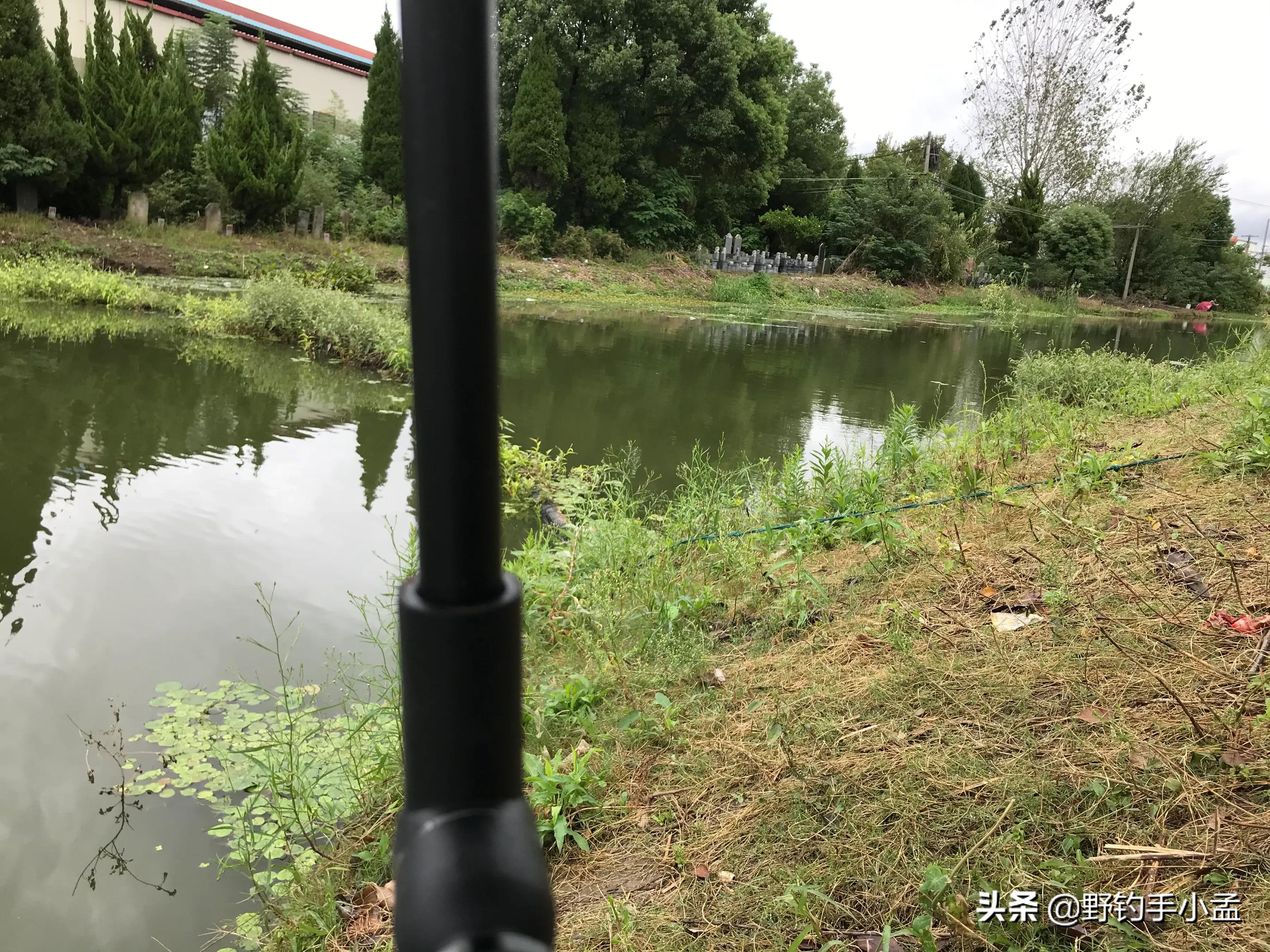 遇到鱼上浮该怎么钓,春季鲫鱼上浮不吃钩怎么钓