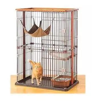 养宠干货|养猫，全方面知识值得一看