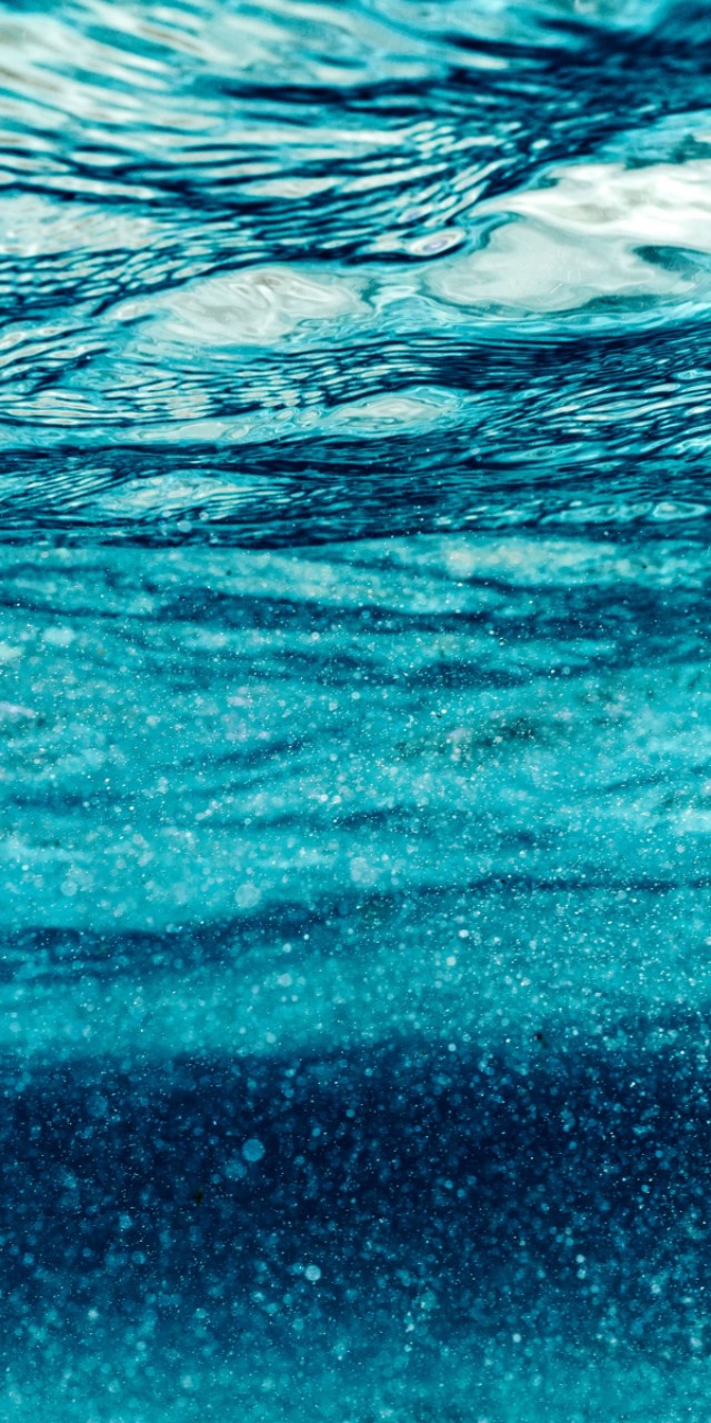 优阿壁纸135期丨分享一组超清晰的海底世界全面屏壁纸