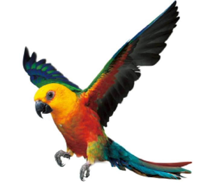 明朝皇帝迷恋丹药,明代历代皇帝感情