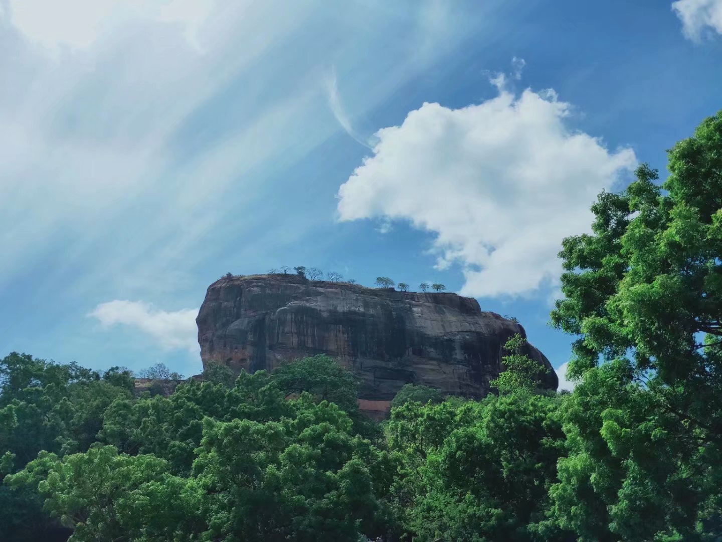 一生必去一次的神奇国度，榴莲白菜价，还有千与千寻里的海上火车