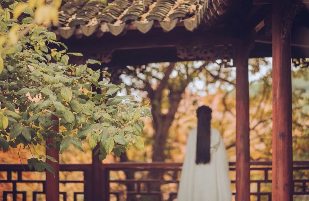 人生哲理诗词短句大全,20条人生哲理经典诗句太精辟了