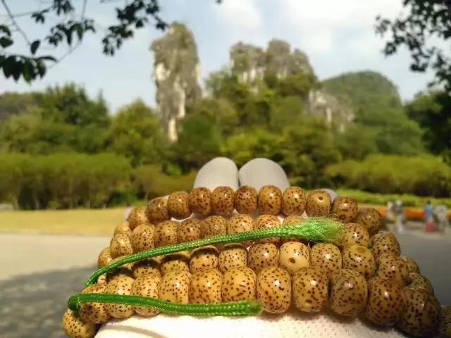 十种顶级文玩价格,文玩价格一览表