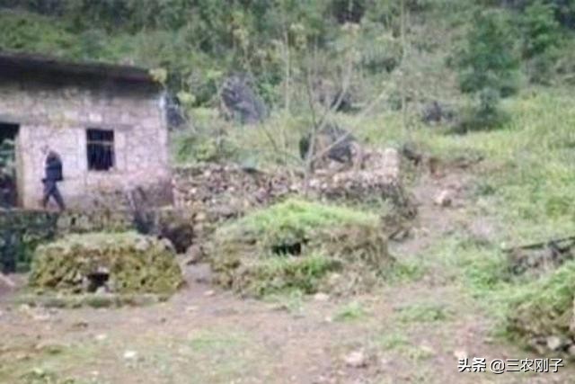 农村房子有坟墓怎么处理,农村房屋旁边有人建坟墓怎么处理