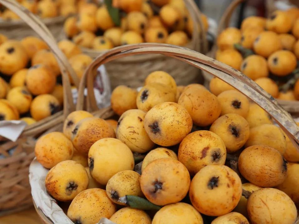 杭州塘栖枇杷采摘寄快递,塘栖枇杷采摘地点推荐