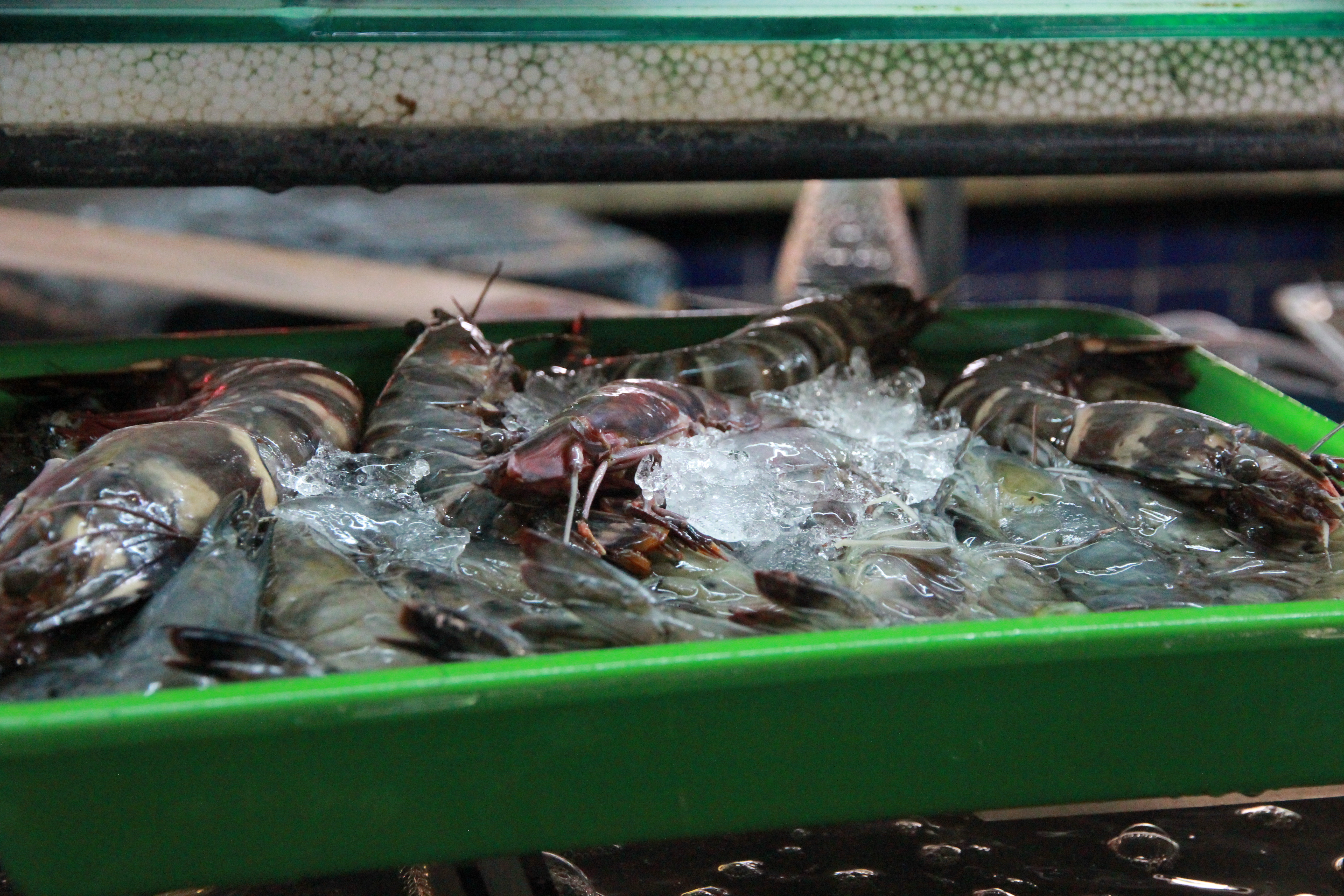 泰国普吉岛旅游攻略小视频,泰国普吉岛自由行旅游最新攻略