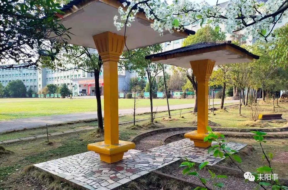 迎接校园里的百花齐放,教室窗外百花齐放