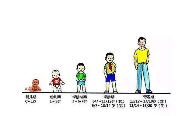 跟着抖音去学习育儿知识,跟着抖音学育儿知识