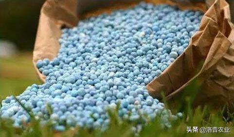 什么是水溶肥水溶肥主要有哪几种,离子态水溶肥的优势