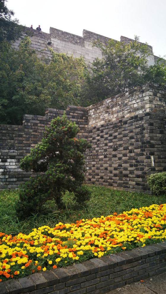 夫子庙和老门东靠得近吗,夫子庙与老门东之间距离