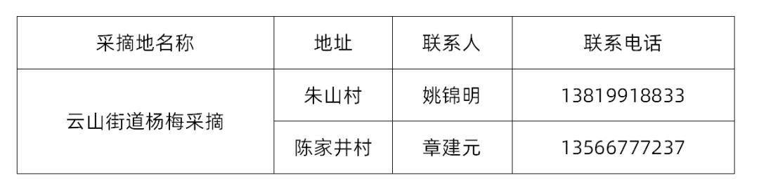 兰溪杨梅正式开摘！最强采摘攻略出炉，五十里杨梅长廊够吃吗？杨梅自由就是现在！