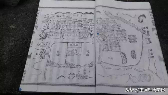 家谱关系图近代,家谱记载内容