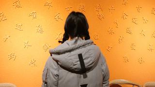 平顶山步行街新的小吃街,曝光街边小吃