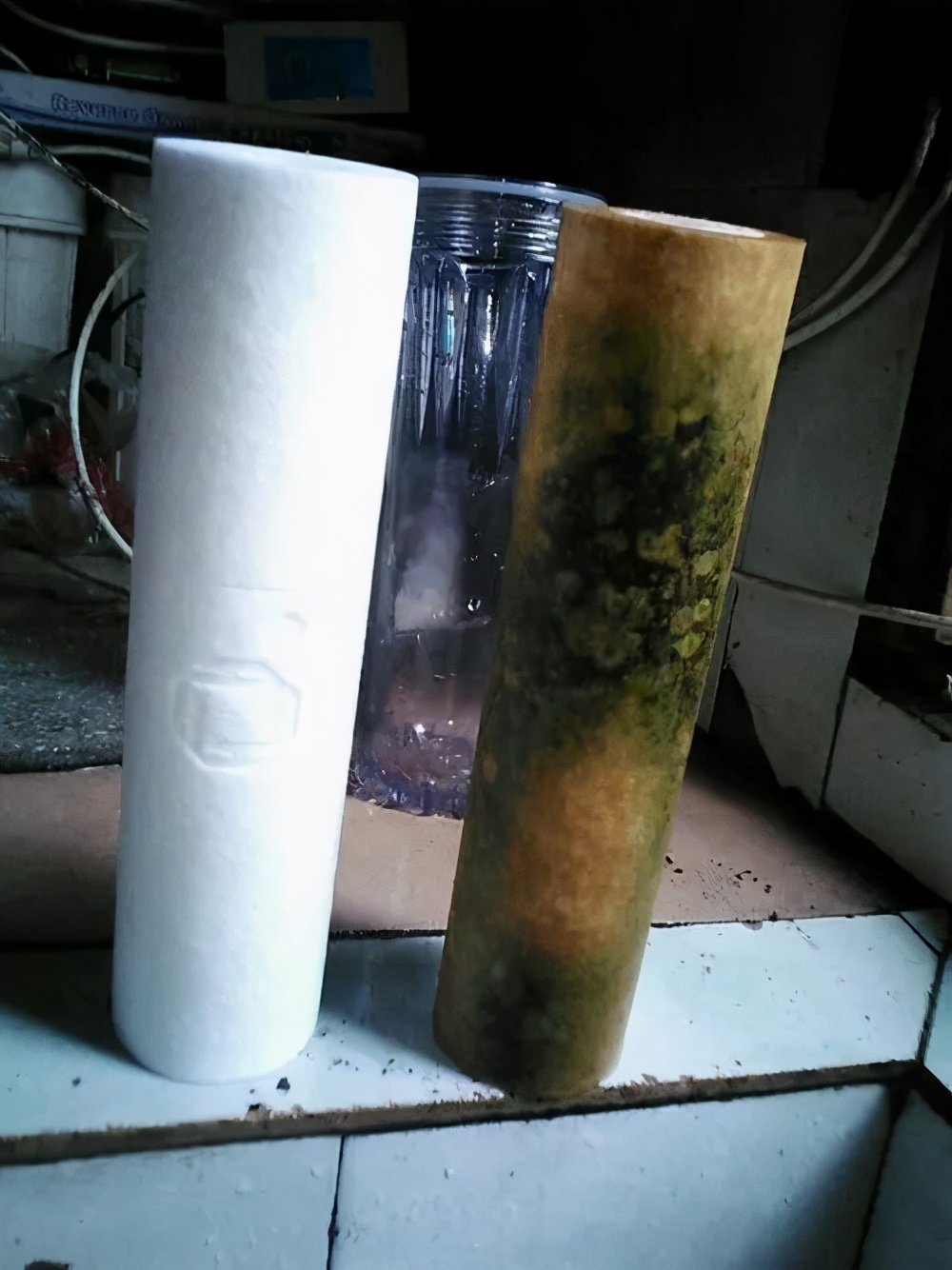 净水器长青苔怎么解决,净水器滤芯上的绿苔怎么去除